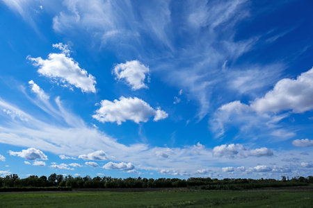 Beautiful view on green trees and field under blue cloudy skyの写真素材