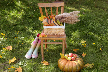 Rubber boots, chair, pumpkin and apples on green grass outdoors. autumn atmosphereの写真素材