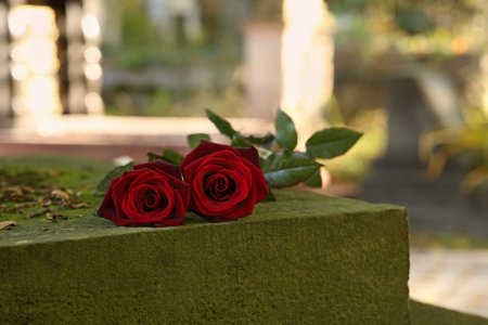 Red roses on gray tombstone outdoors on sunny day, space for text. Funeral ceremonyの写真素材