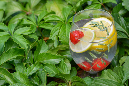 Delicious refreshing lemonade with raspberries surrounded by green leaves outdoors, closeup. Space for textの写真素材