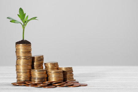 Stacks of coins and green sprout on white wooden table against light gray background, space for text. investment conceptの写真素材