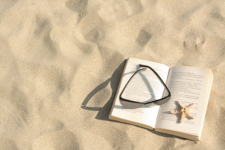 Beautiful sunglasses, book and starfish on sand, above view. Space for textの写真素材