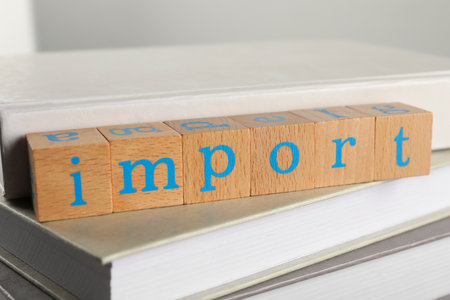 Word Import made of wooden cubes on books, closeupの写真素材