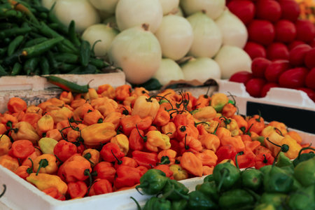 Heap of fresh Cascabel chili peppers on counter at market, closeupの写真素材