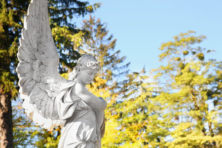 Beautiful statue of an angel at cemetery, space for textの写真素材