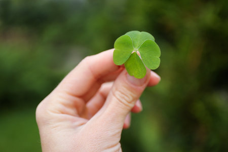 Woman holding beautiful green four leaf clover outdoors, closeupの写真素材