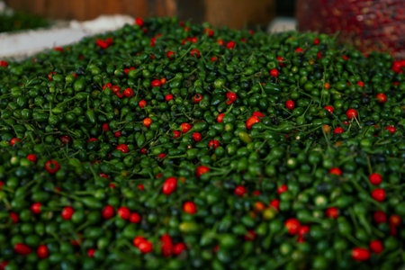 Heap of fresh delicious chiltepin on counter at marketの写真素材