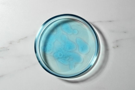 Petri dish with liquid on white marble table, top viewの写真素材