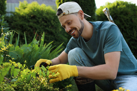 Happy man cutting plant outdoors on sunny day. gardening timeの写真素材