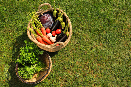 Different tasty vegetables and herbs in wicker baskets on green grass outdoors, top view. Space for textの写真素材