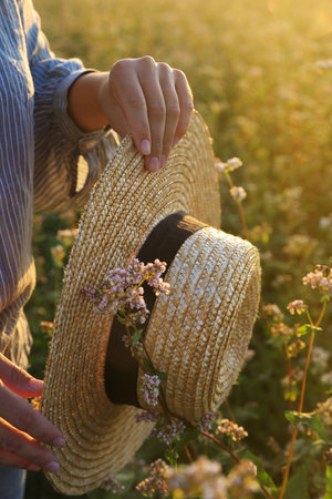 Woman with hat in beautiful blossoming buckwheat field, closeupの写真素材