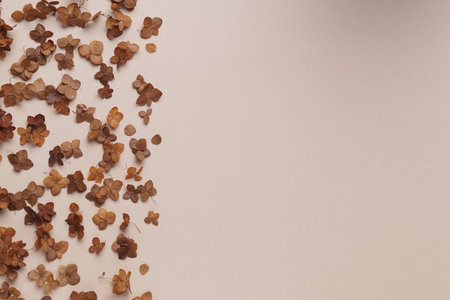 Flat lay composition with dried hortensia flowers on beige background. Space for text