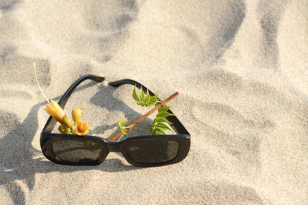 Stylish sunglasses and tropical flower on sand, space for textの写真素材