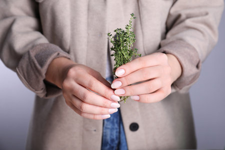 Woman holding fresh thyme sprigs on gray background, closeupの写真素材