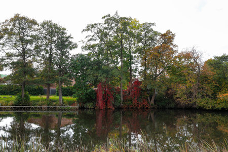 Picturesque view of river and trees in beautiful park. autumn season