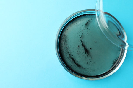 Petri dish with bacteria colony on light blue background, top view. Space for text