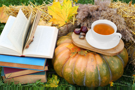 Books, pumpkin, apples and cup of tea on green grass outdoors. autumn seasonの写真素材