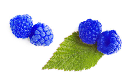 Fresh tasty blue raspberries on white background