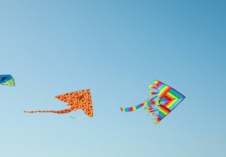 Bright rainbow kites in blue sky, low angle viewの写真素材