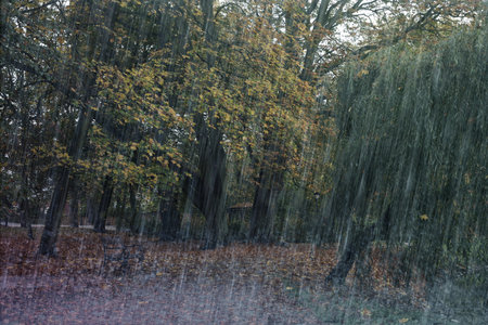 Beautiful park with trees and wooden bench on rainy dayの写真素材