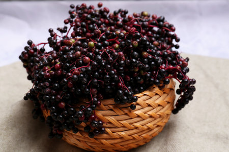 Tasty elderberries (Sambucus) on light gray cloth, closeup