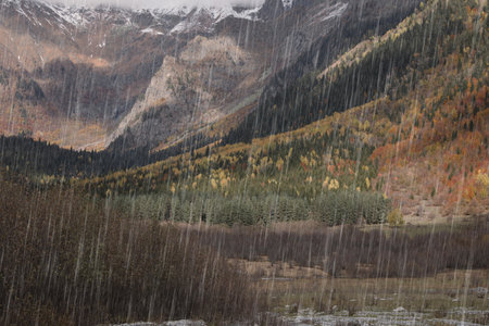 Picturesque view of mountain landscape with forest and meadow on rainy day