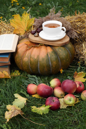 Books, pumpkin, apples and cup of tea on green grass outdoors. autumn seasonの写真素材