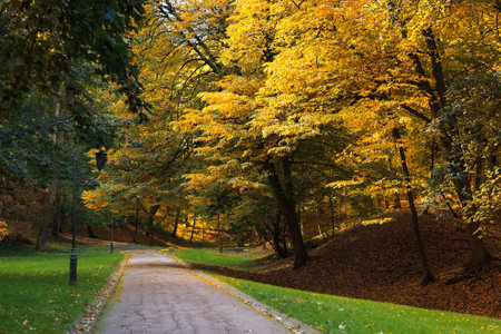 Pathway, green grass and trees in beautiful park on autumn day