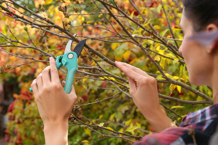 Woman pruning tree branch by secateurs in garden, closeup
