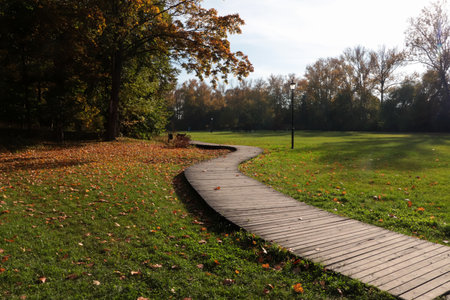 Picturesque view of park with beautiful trees and pathway on sunny day. autumn season