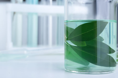 Glass test tube with liquid and leaves on white table in laboratory, closeup. Space for textの写真素材