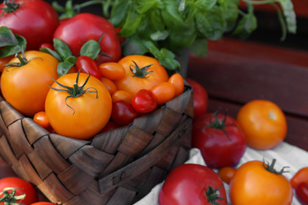 Different sorts of tomatoes on wooden benchの写真素材