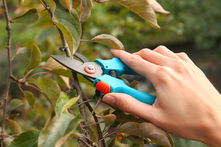 Woman pruning branch with spikes by secateurs in garden, closeup