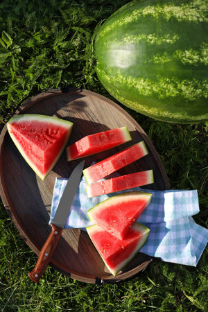 Tasty ripe watermelons on green grass outdoors, flat layの写真素材