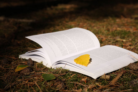 Open book and yellow leaf on grass outdoorsの写真素材