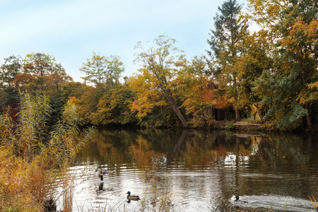Picturesque view of river and trees in beautiful park. autumn season