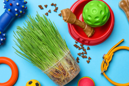 Flat lay composition with pet toys, food and accessories on light blue backgroundの写真素材