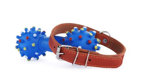 Bone toy and pet collar isolated on whiteの写真素材