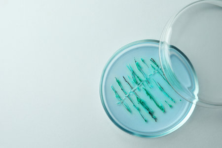 Petri dish with bacteria colony on white background, top view. Space for textの写真素材