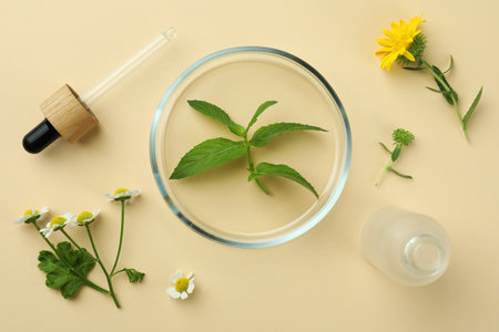 Flat lay composition with Petri dish and plants on beige backgroundの写真素材