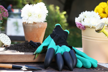 Gardening gloves and different flowers on table outdoorsの写真素材