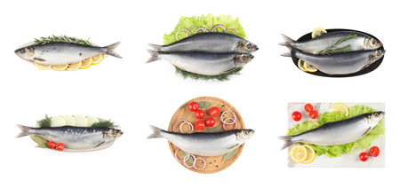 Set with tasty salted herrings on white background, top view. banner designの写真素材