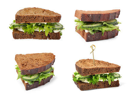 Collage with tasty cucumber sandwiches on white backgroundの写真素材