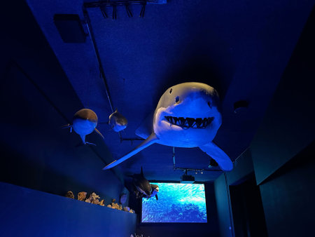 Leiden, Netherlands - November 19, 2022: Museum exhibition with stuffed sharks. environmental educationのeditorial素材