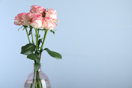 Vase with beautiful pink roses on light blue background. Space for textの写真素材