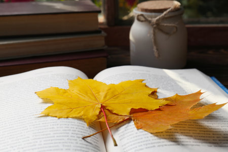 Book with beautiful leaves as bookmark on table, closeupの写真素材