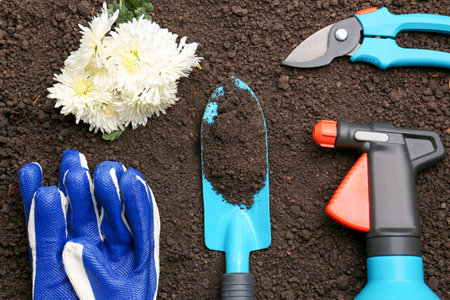 Gardening tools, gloves and flowers on fresh soil, flat layの写真素材