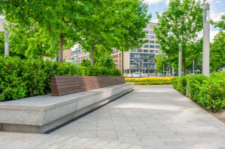 Beautiful alley with many trees in the cityの写真素材