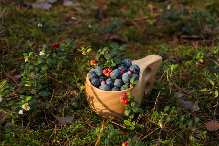 Wooden mug full of fresh ripe blueberries and lingonberries in grass