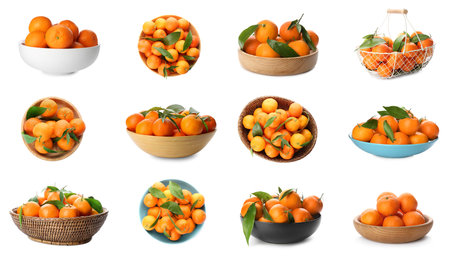 Set with fresh ripe tangerines on white backgroundの写真素材